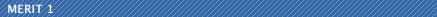 MERIT 1